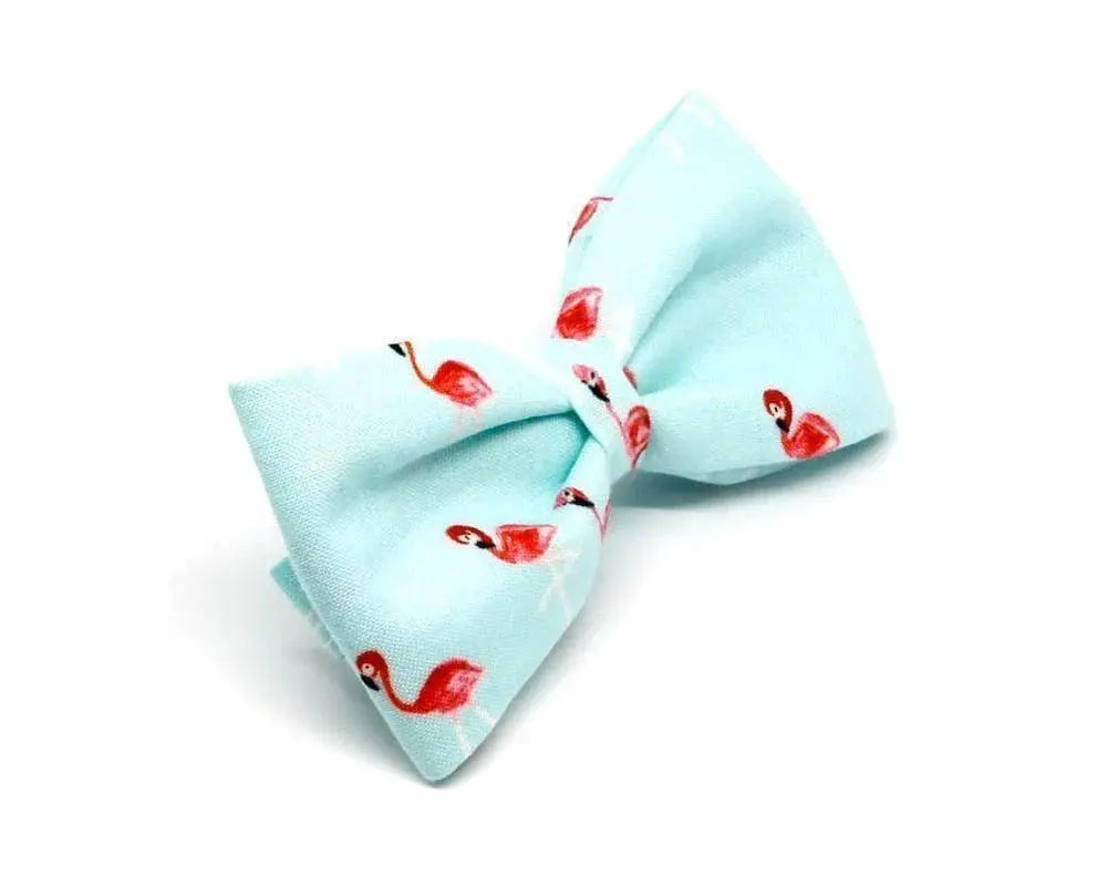 Pajarita Baño de flamencos