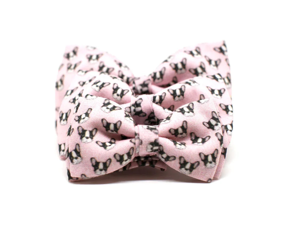 Pajarita Perro Bulldog Francés