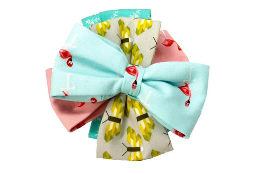 Pajaritas Primavera 2017