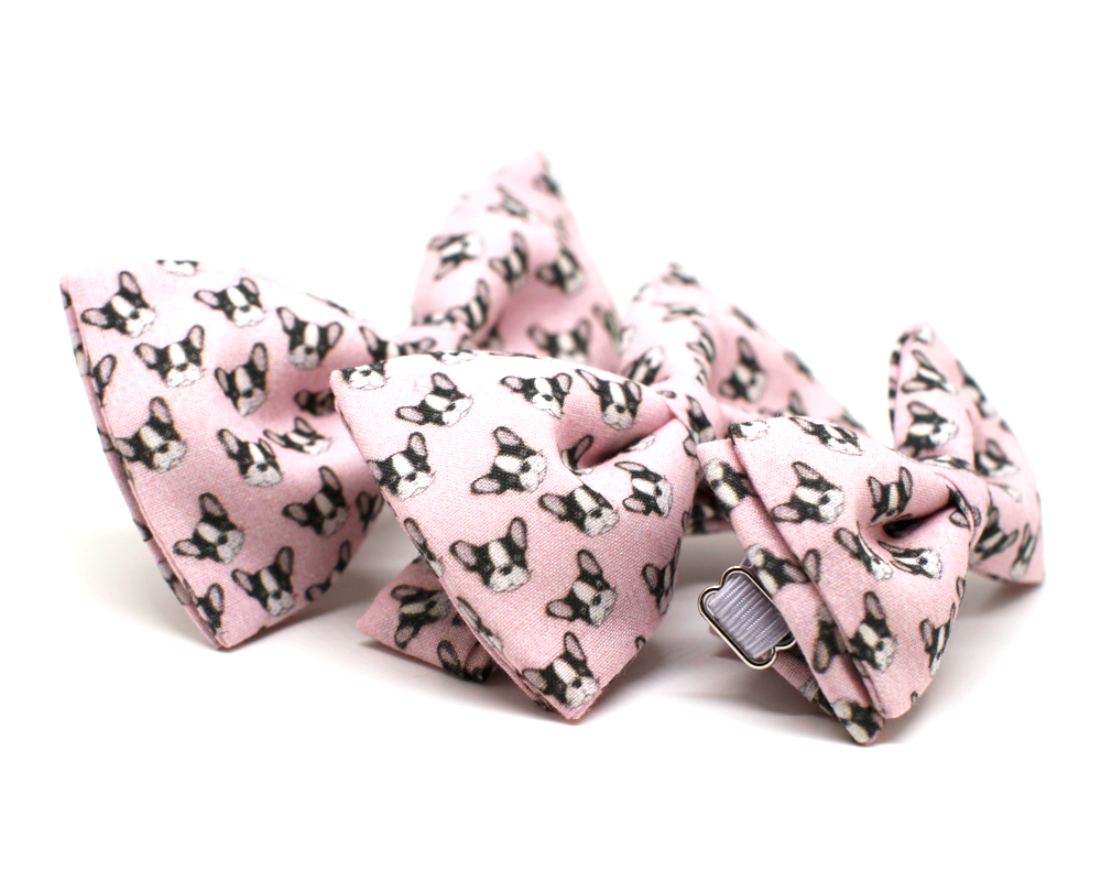 Pajarita Perro Bulldog Francés