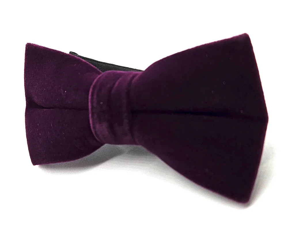 Pajarita Terciopelo Morado - Pitas, Pitas Pajaritas | Pajaritas originales y muy frikis