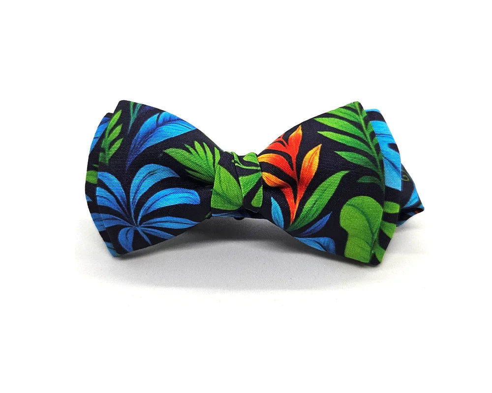 Pajarita Selva 🆕 - Pitas, Pitas Pajaritas | Pajaritas originales y muy frikis