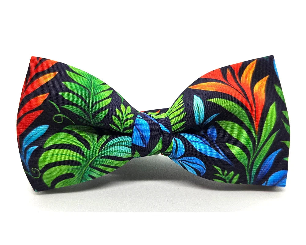 Pajarita Selva 🆕 - Pitas, Pitas Pajaritas | Pajaritas originales y muy frikis